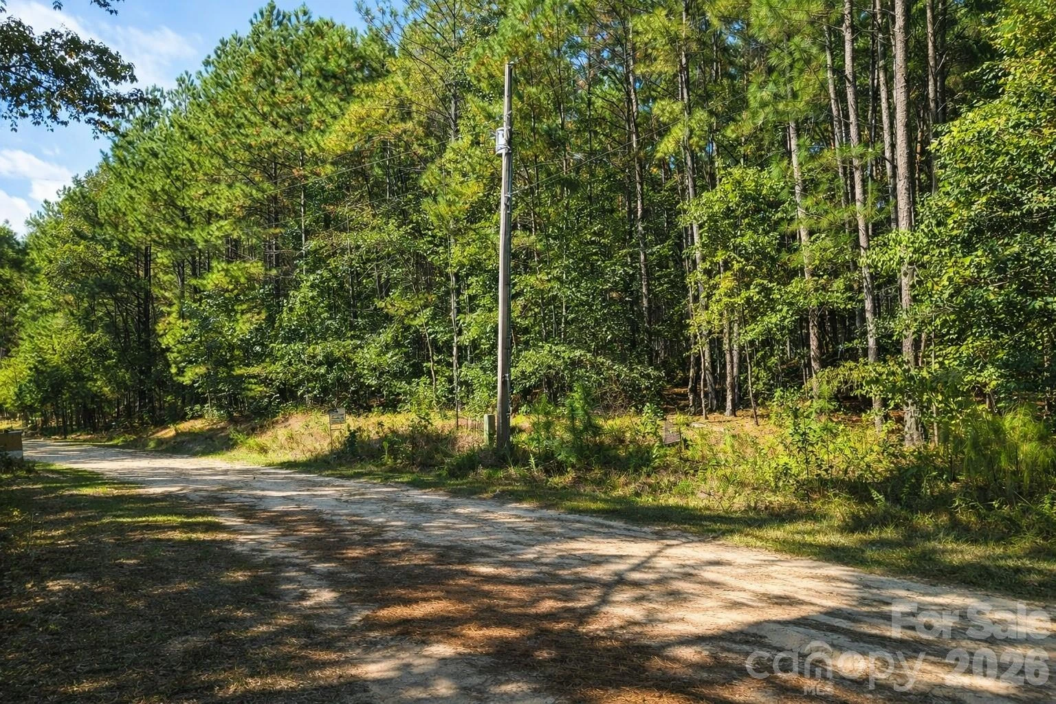 00-00 Deer Trail #LOT 39 - Photo 4