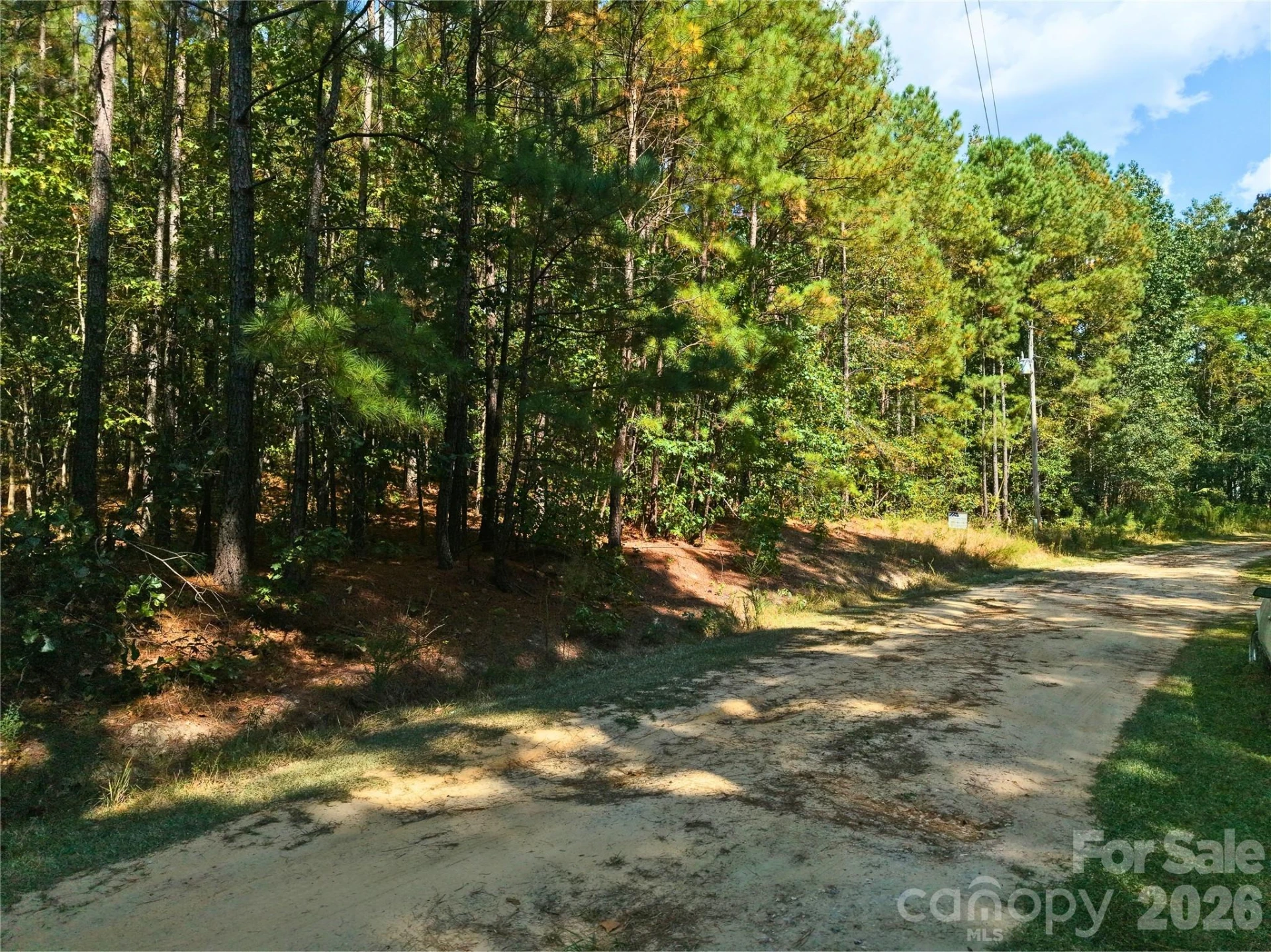 00-00 Deer Trail #LOT 39 - Photo 8