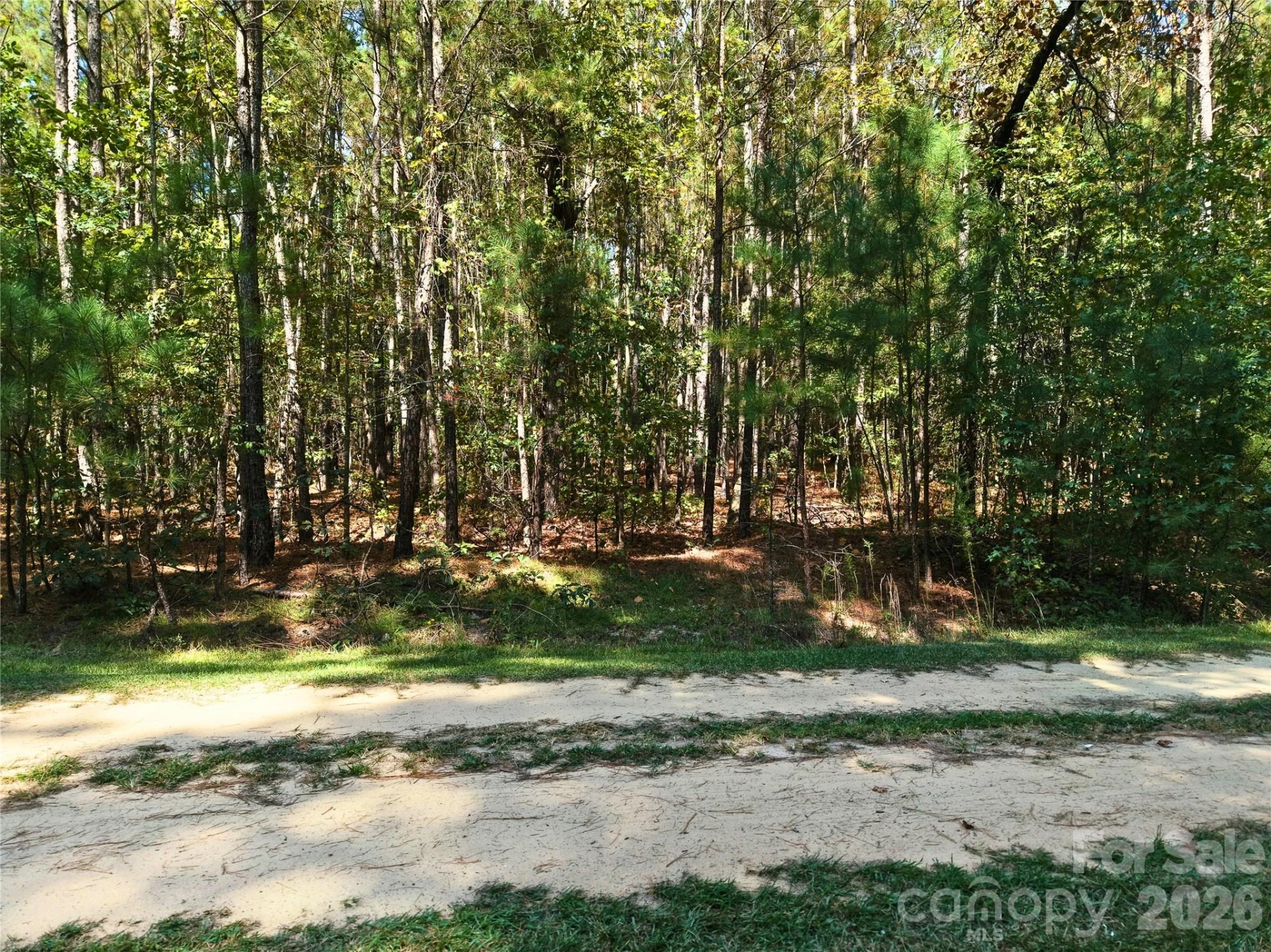 00-00 Deer Trail #LOT 39 - Photo 9
