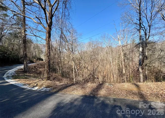 42 Asa Gray Drive
