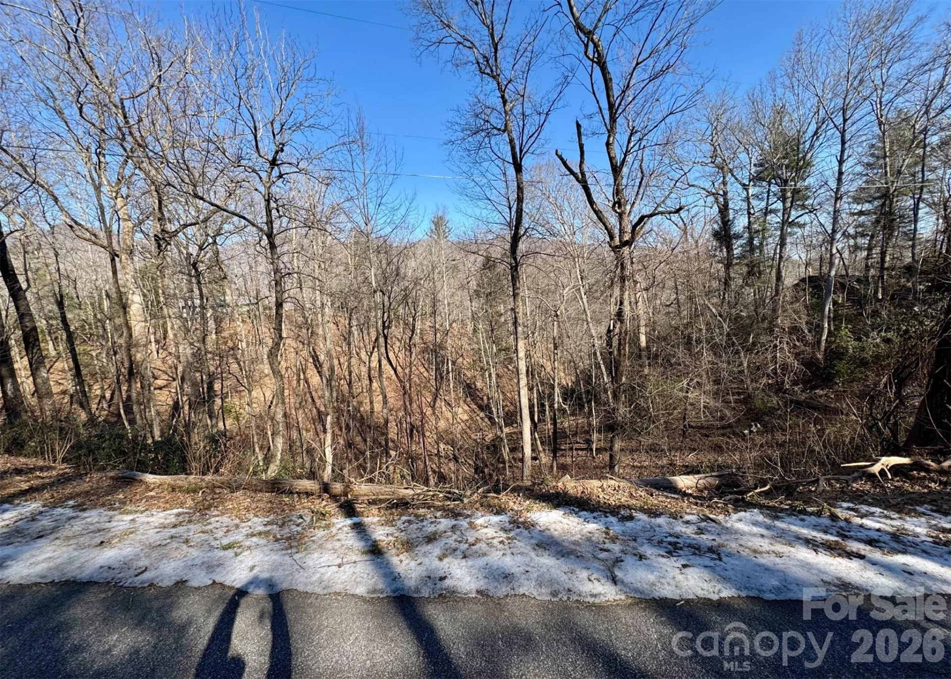 42 Asa Gray Drive - Photo 2