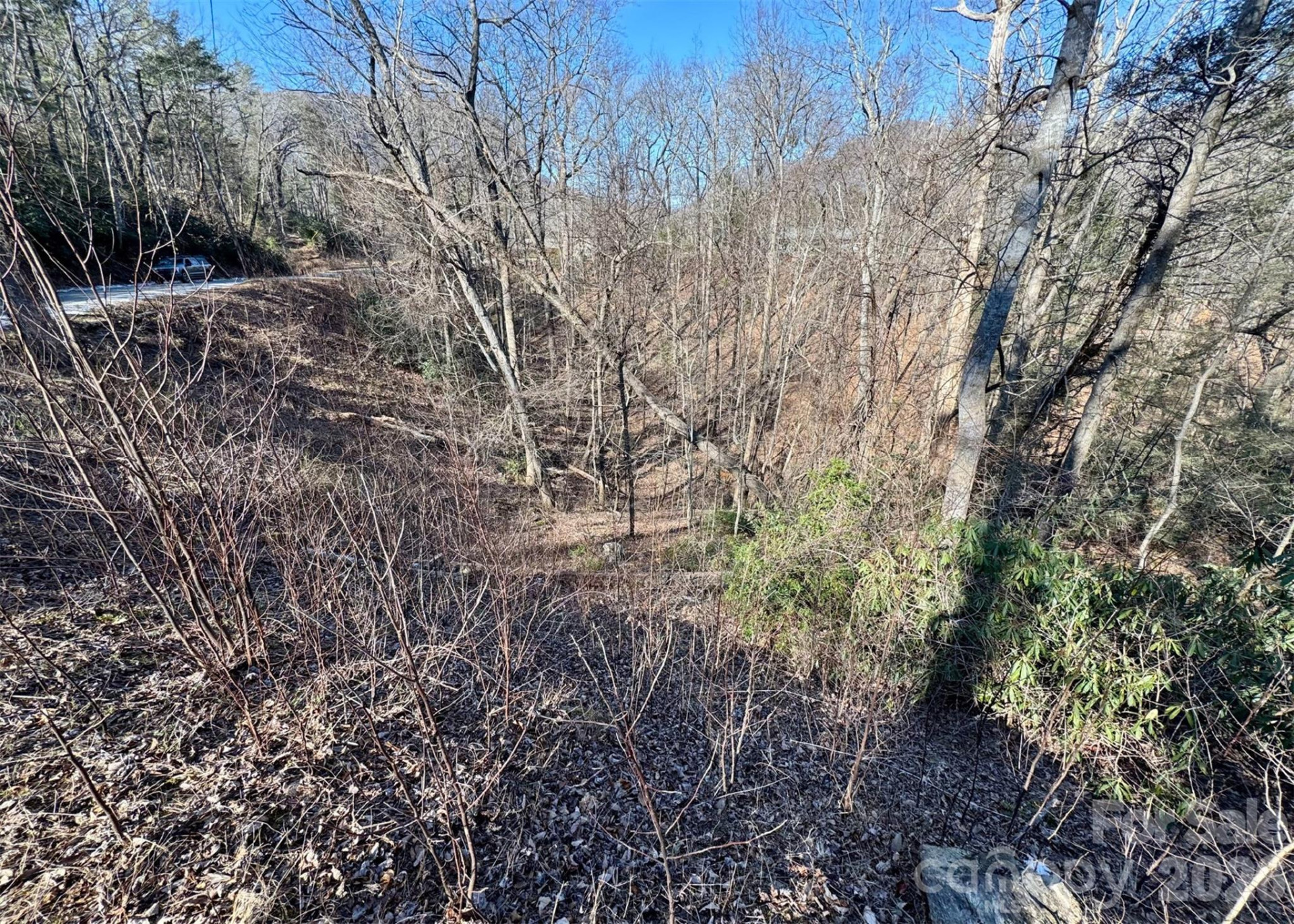 42 Asa Gray Drive - Photo 3