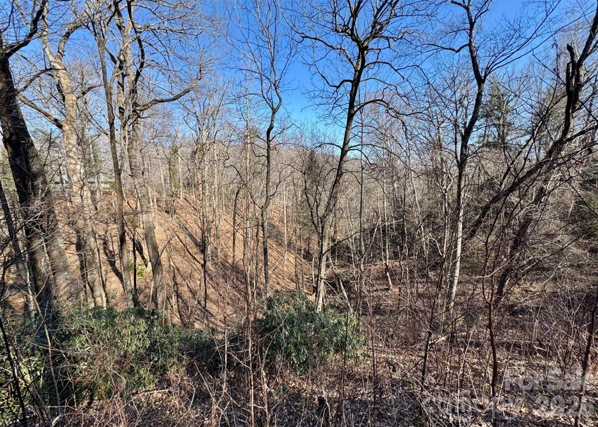 42 Asa Gray Drive - Photo 4