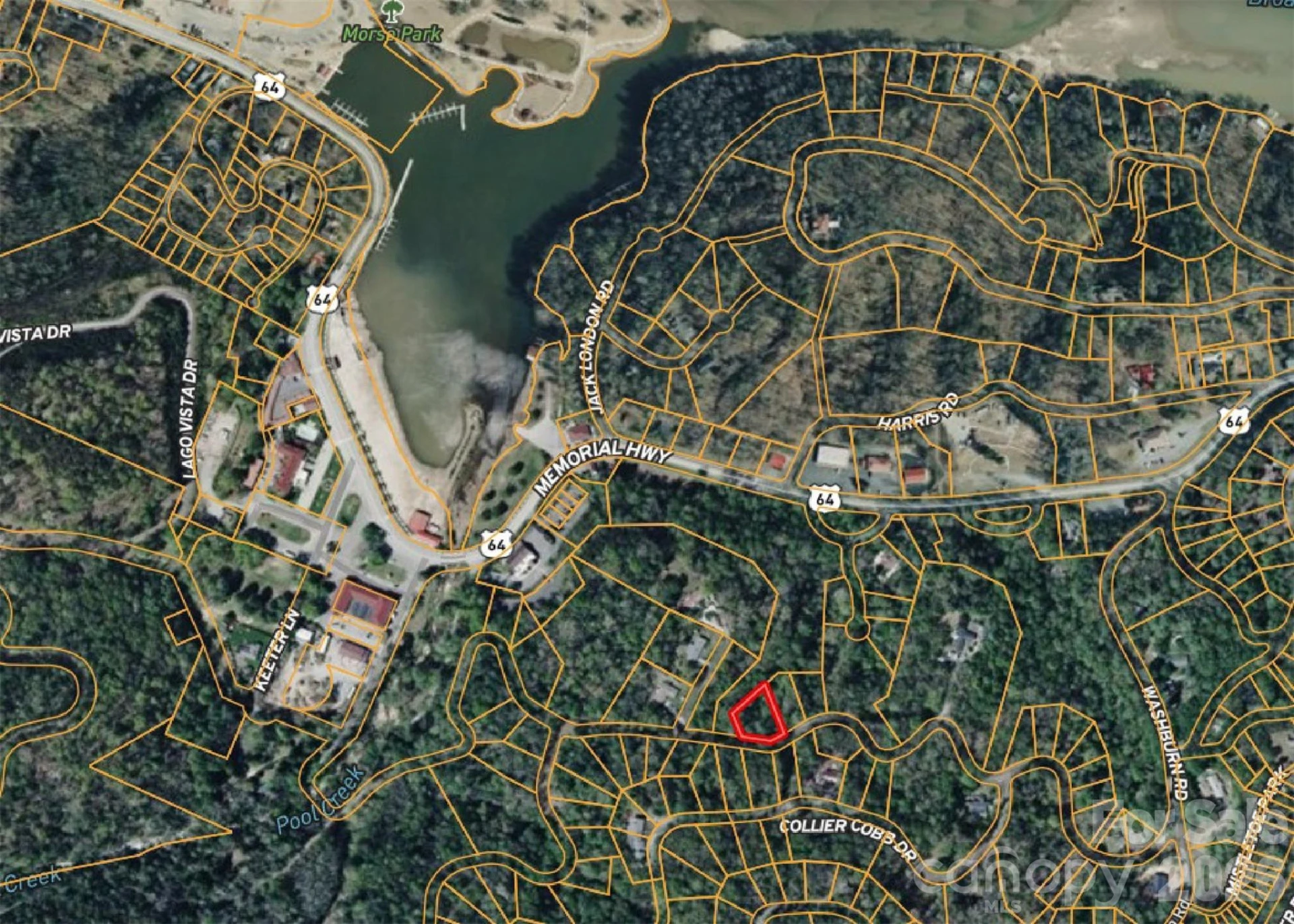 42 Asa Gray Drive - Photo 7