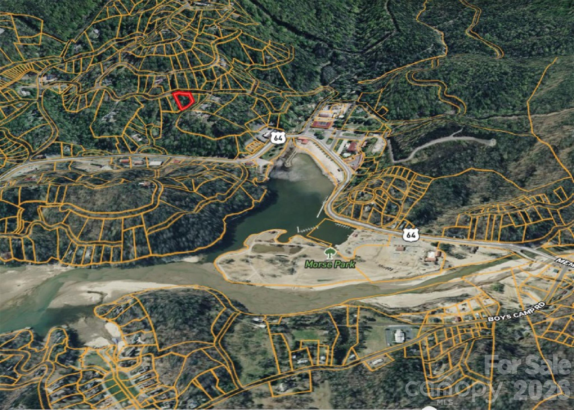 42 Asa Gray Drive - Photo 8