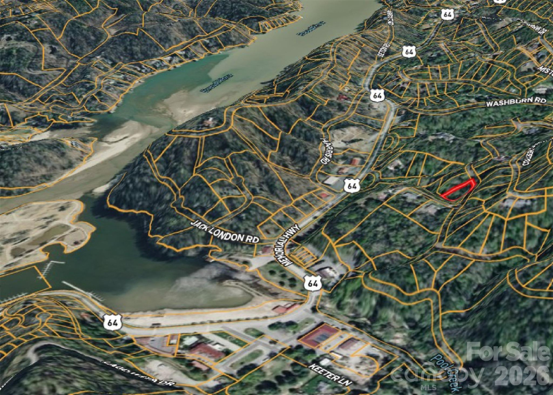 42 Asa Gray Drive - Photo 9