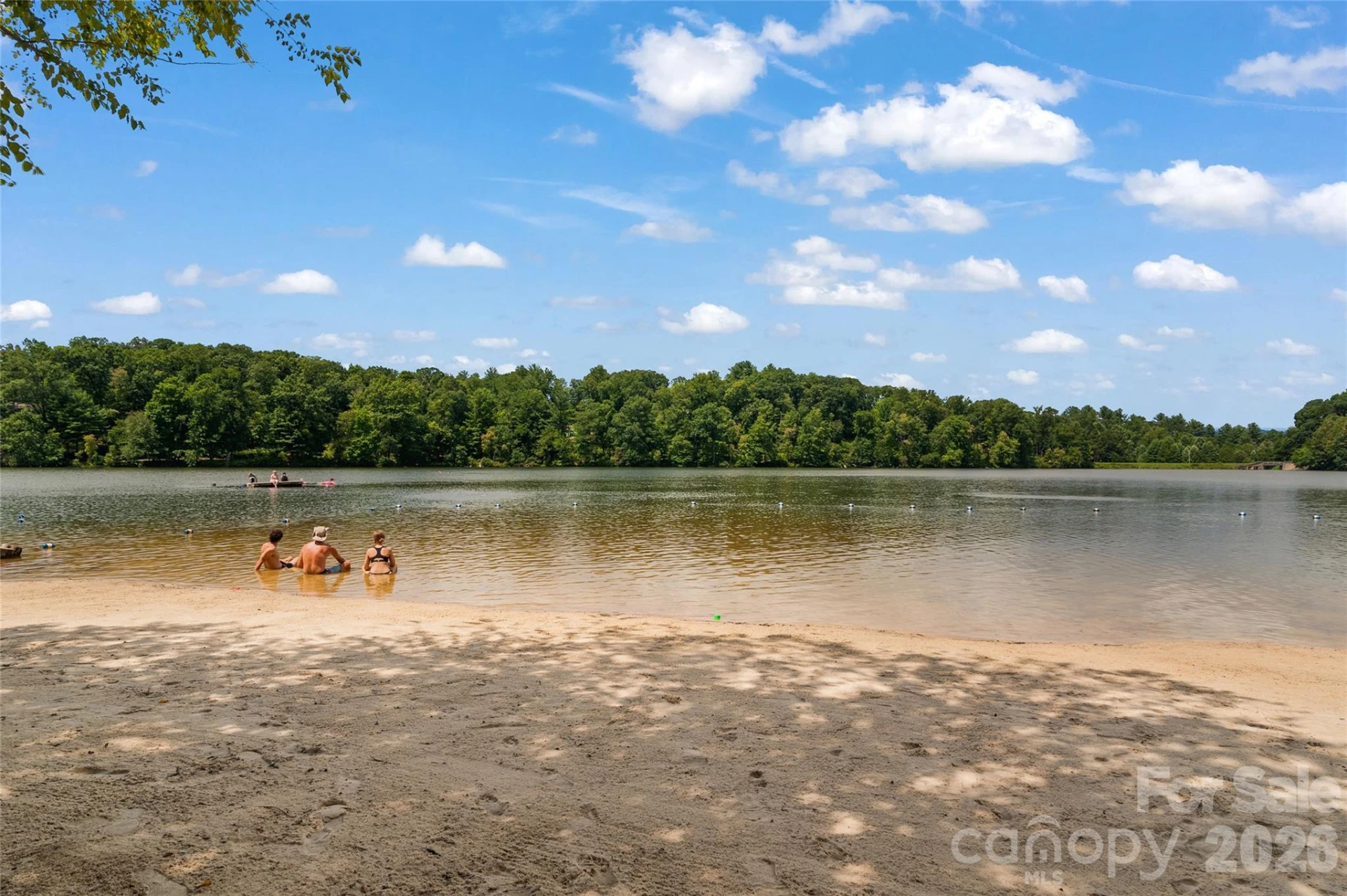 17 Moser Sedge Court - Photo 45