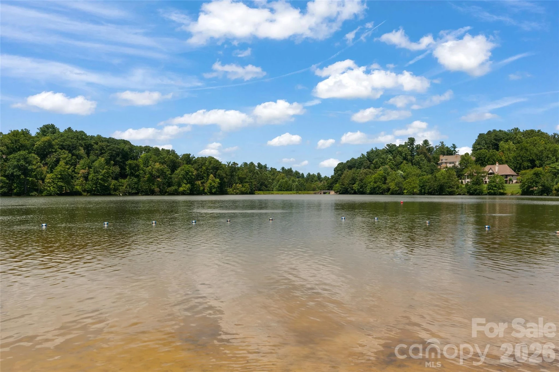 17 Moser Sedge Court - Photo 46