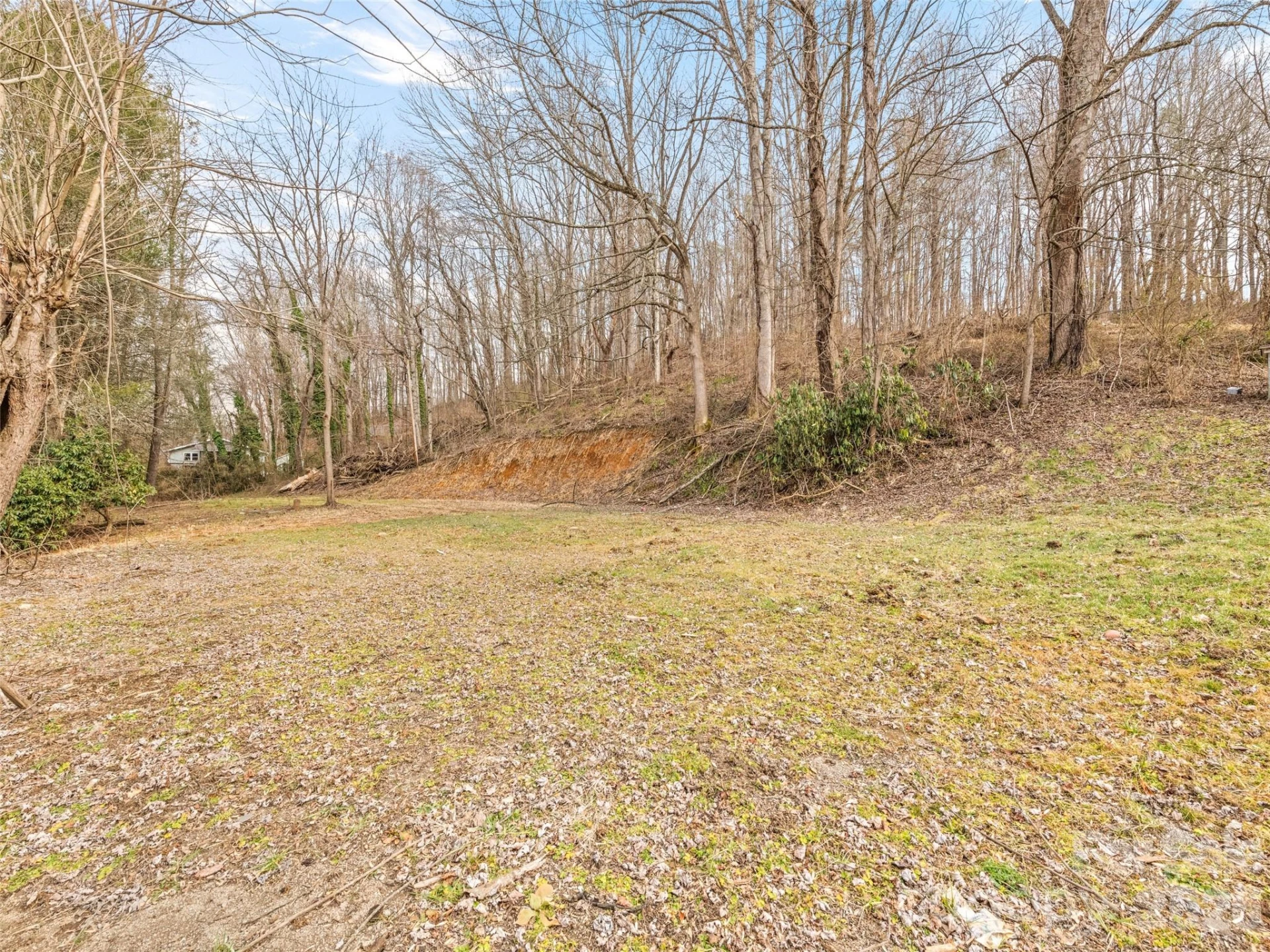 321 Shovel Creek Road - Photo 29