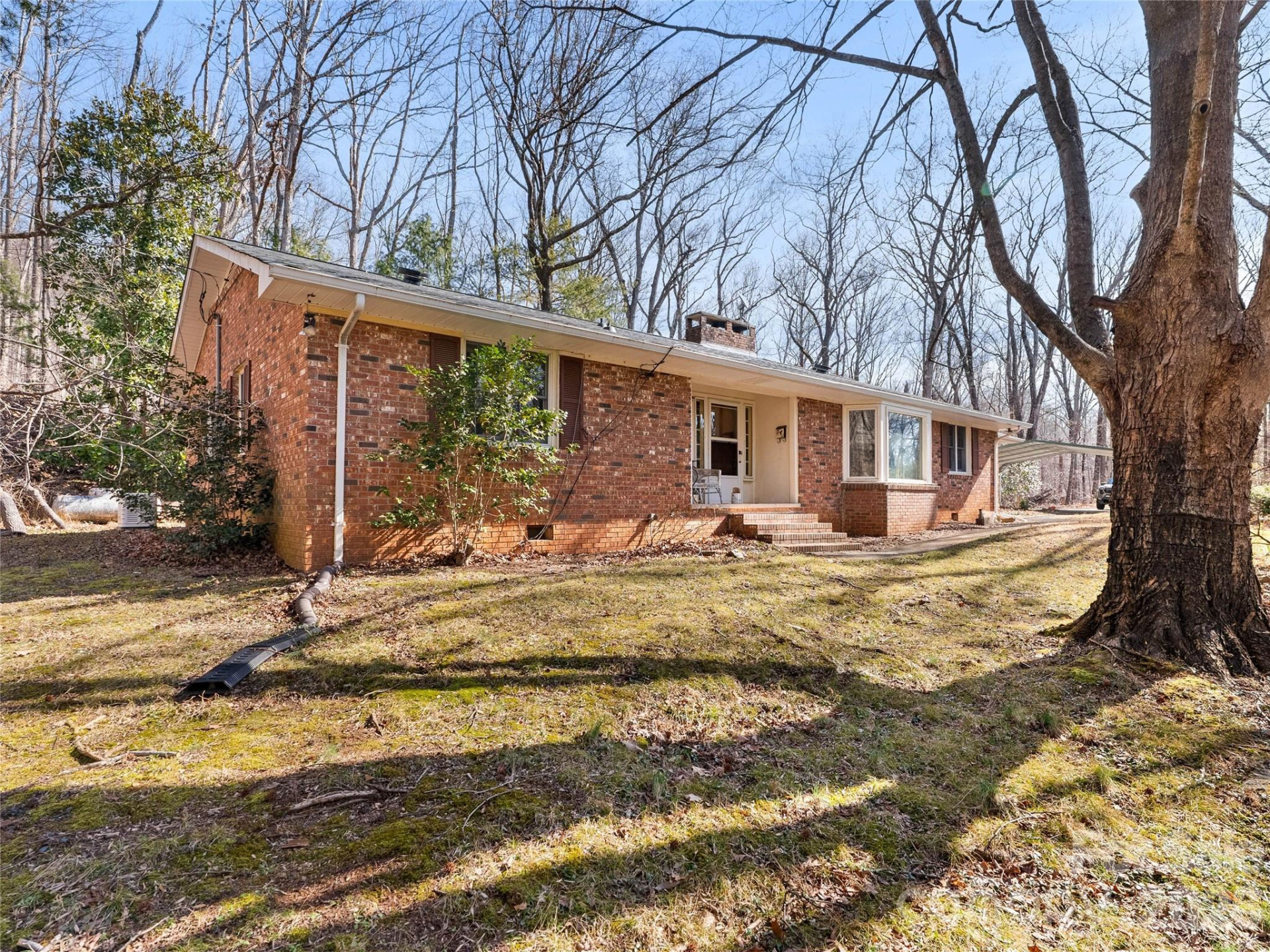 121 Hummingbird Lane