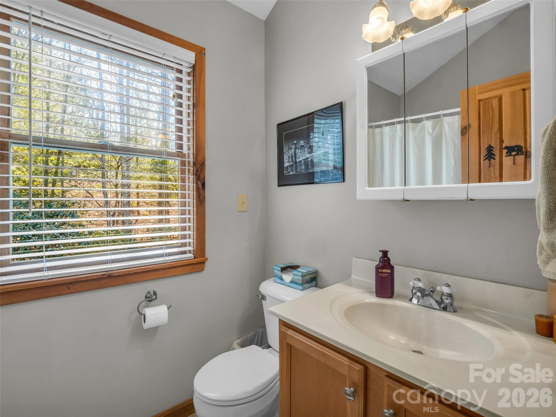 258 Deer Run - Photo 36
