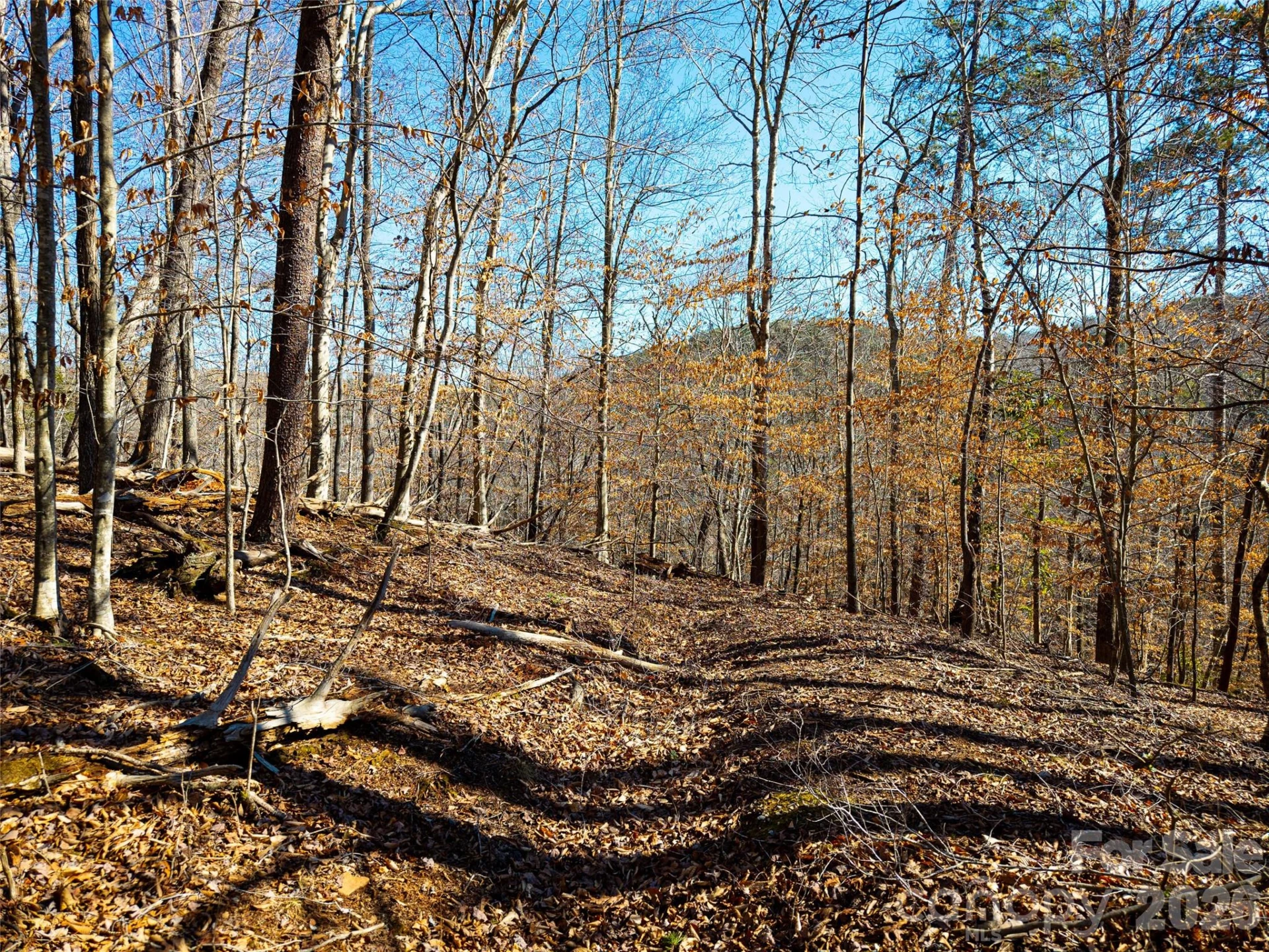 TBD Rondo Ridge Road - Photo 13
