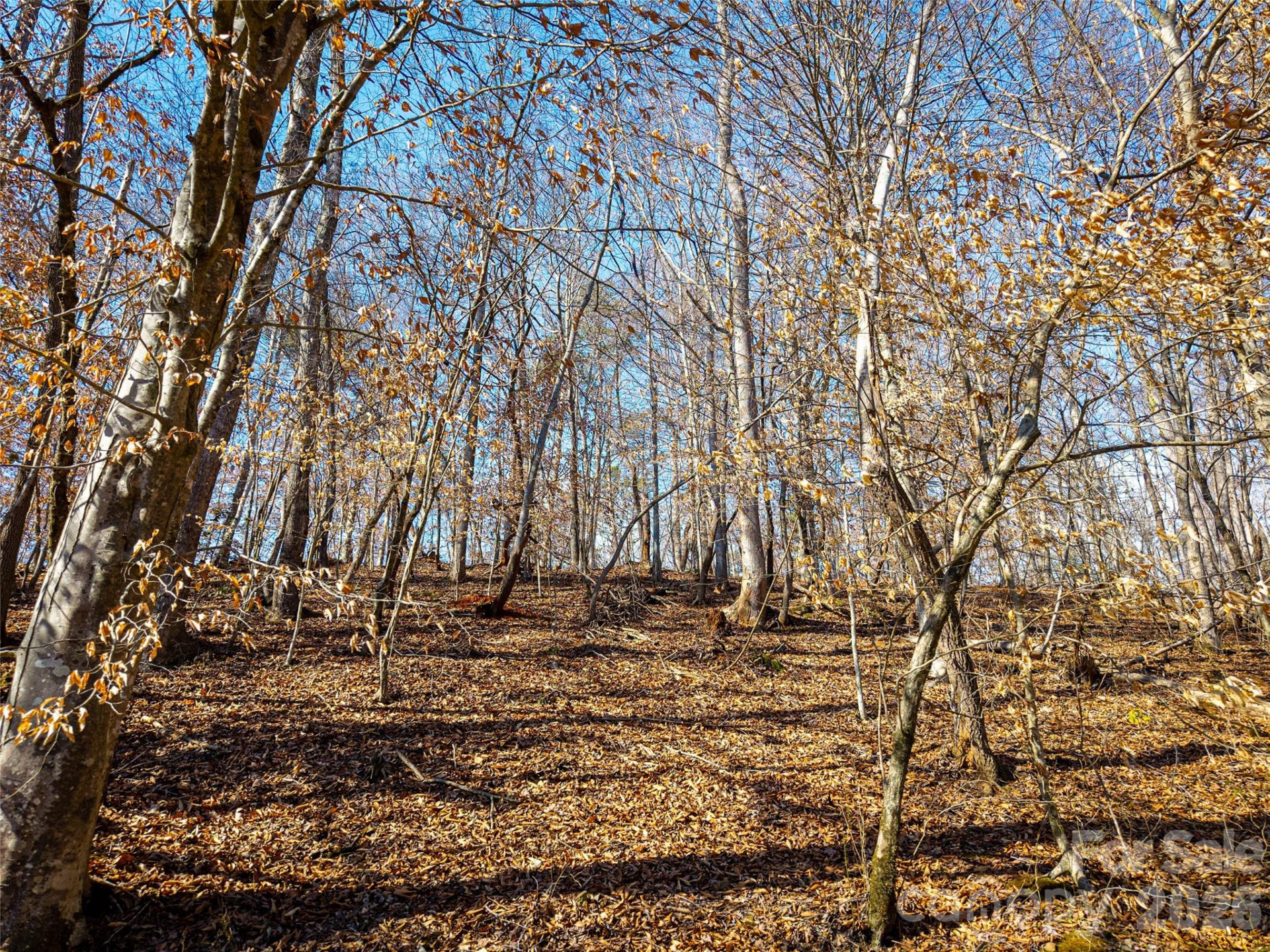 TBD Rondo Ridge Road - Photo 14