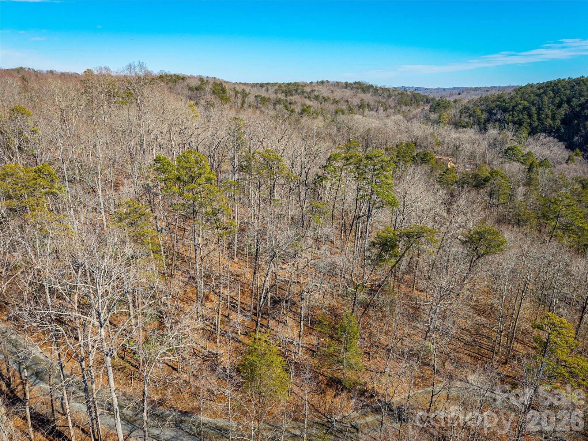 TBD Rondo Ridge Road - Photo 7