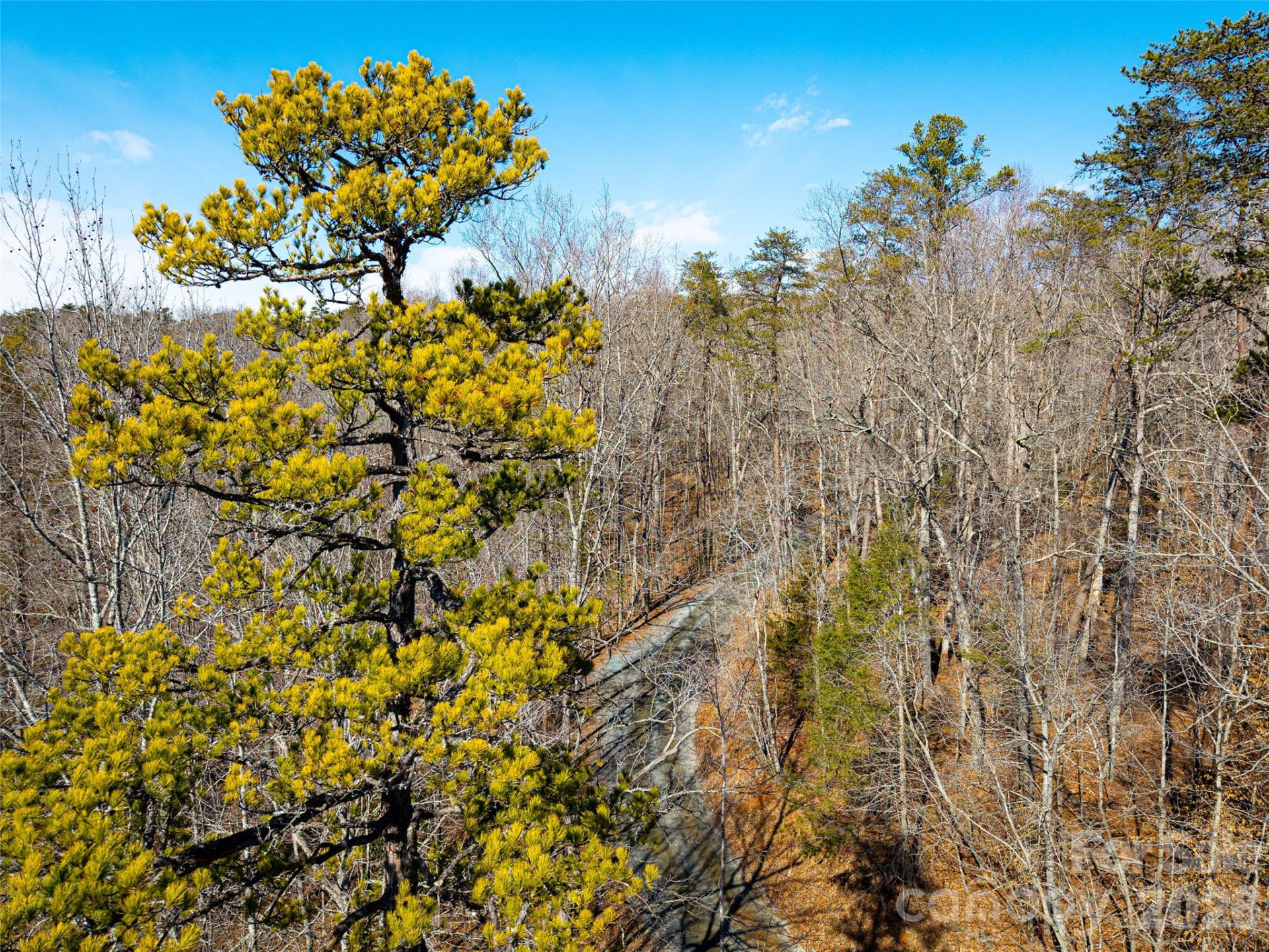 TBD Rondo Ridge Road - Photo 8