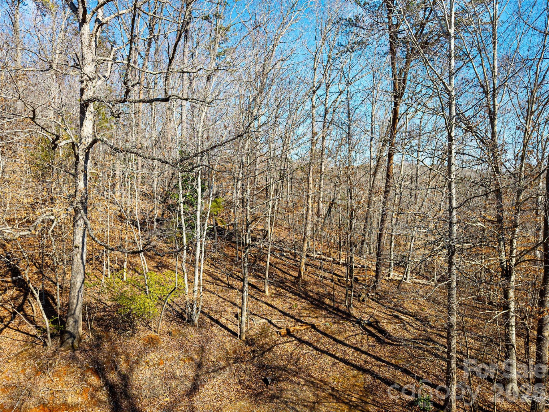 TBD Rondo Ridge Road - Photo 9