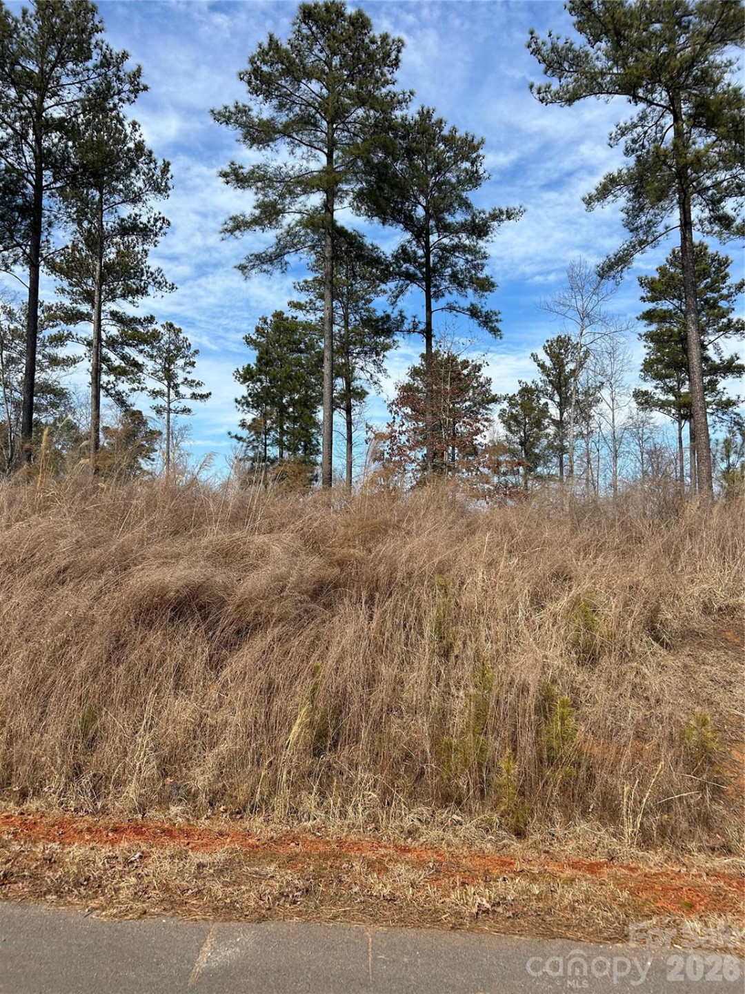 2099 Columbia Ridge #12 - Photo 2