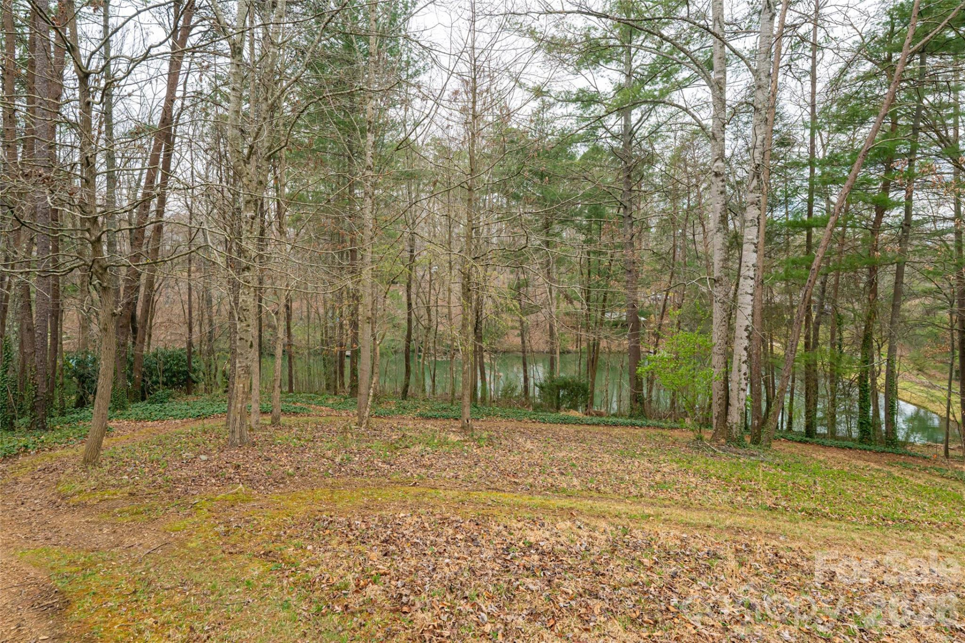 21 Pine Tree Circle - Photo 40