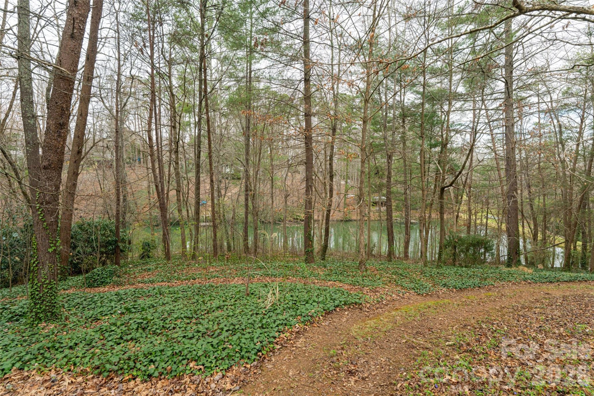 21 Pine Tree Circle - Photo 41