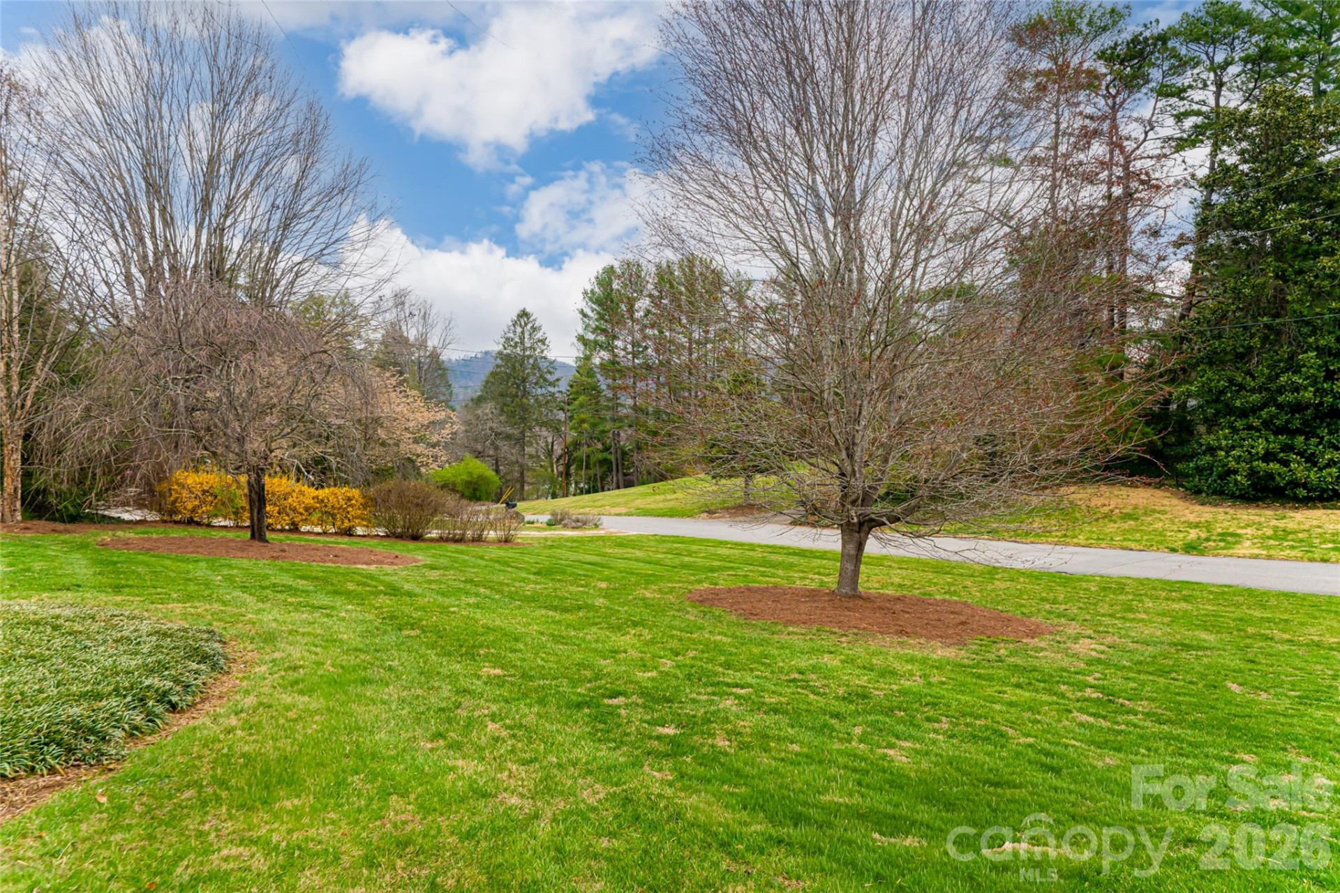 21 Pine Tree Circle - Photo 44