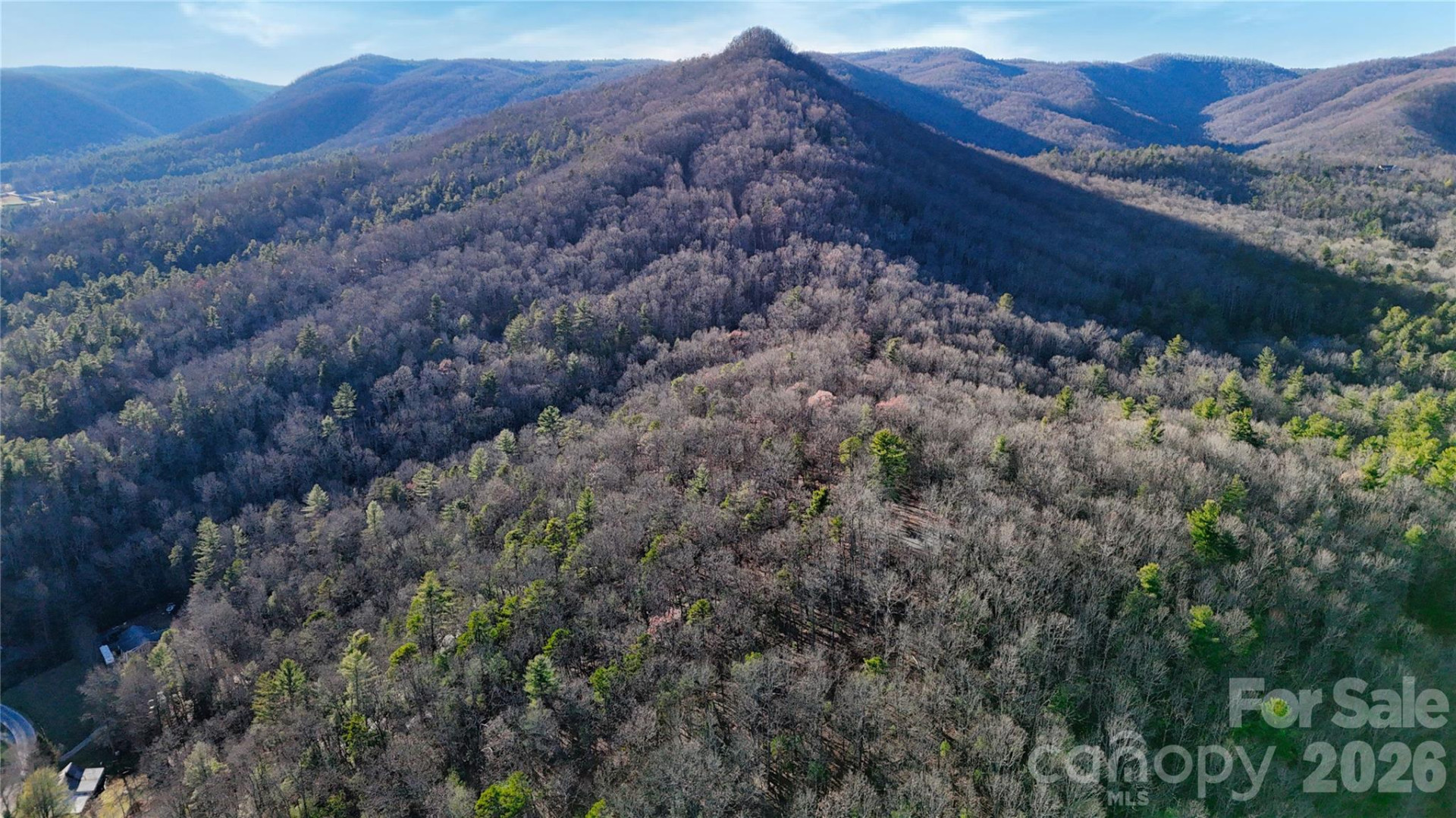 130 Brown Bear Ridge Trail #17 - Photo 11