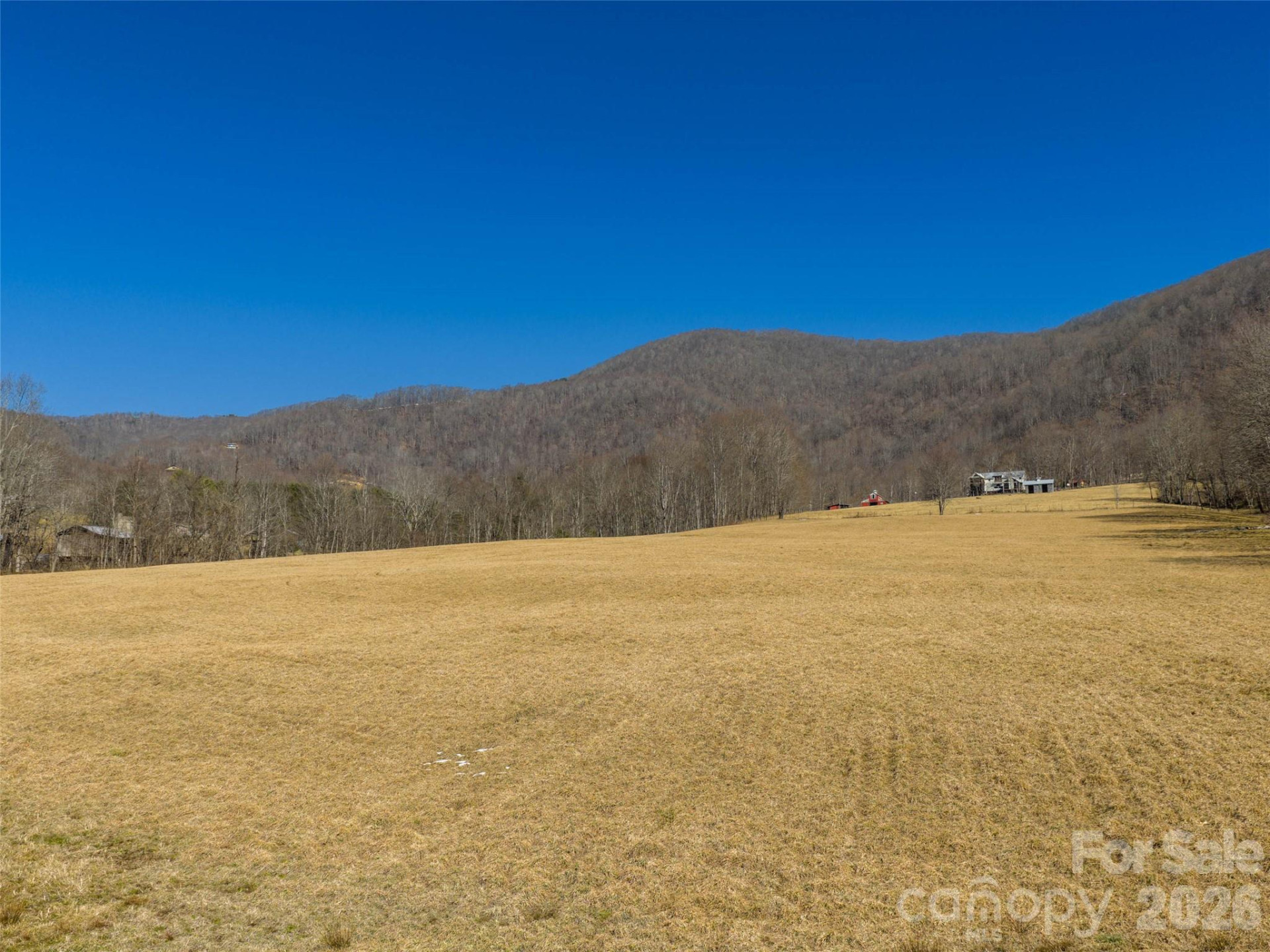 00 Sallys Branch Road - Photo 11