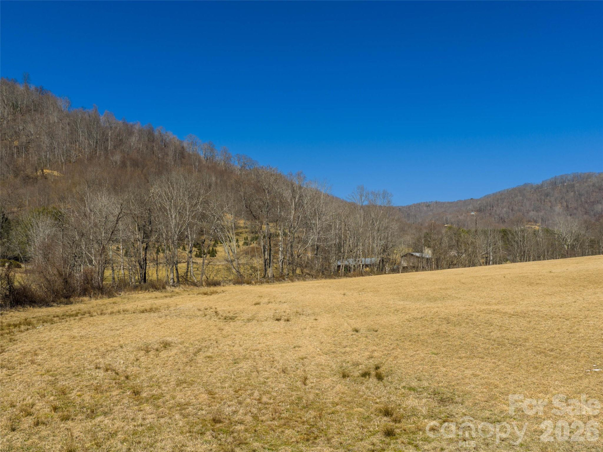 00 Sallys Branch Road - Photo 12