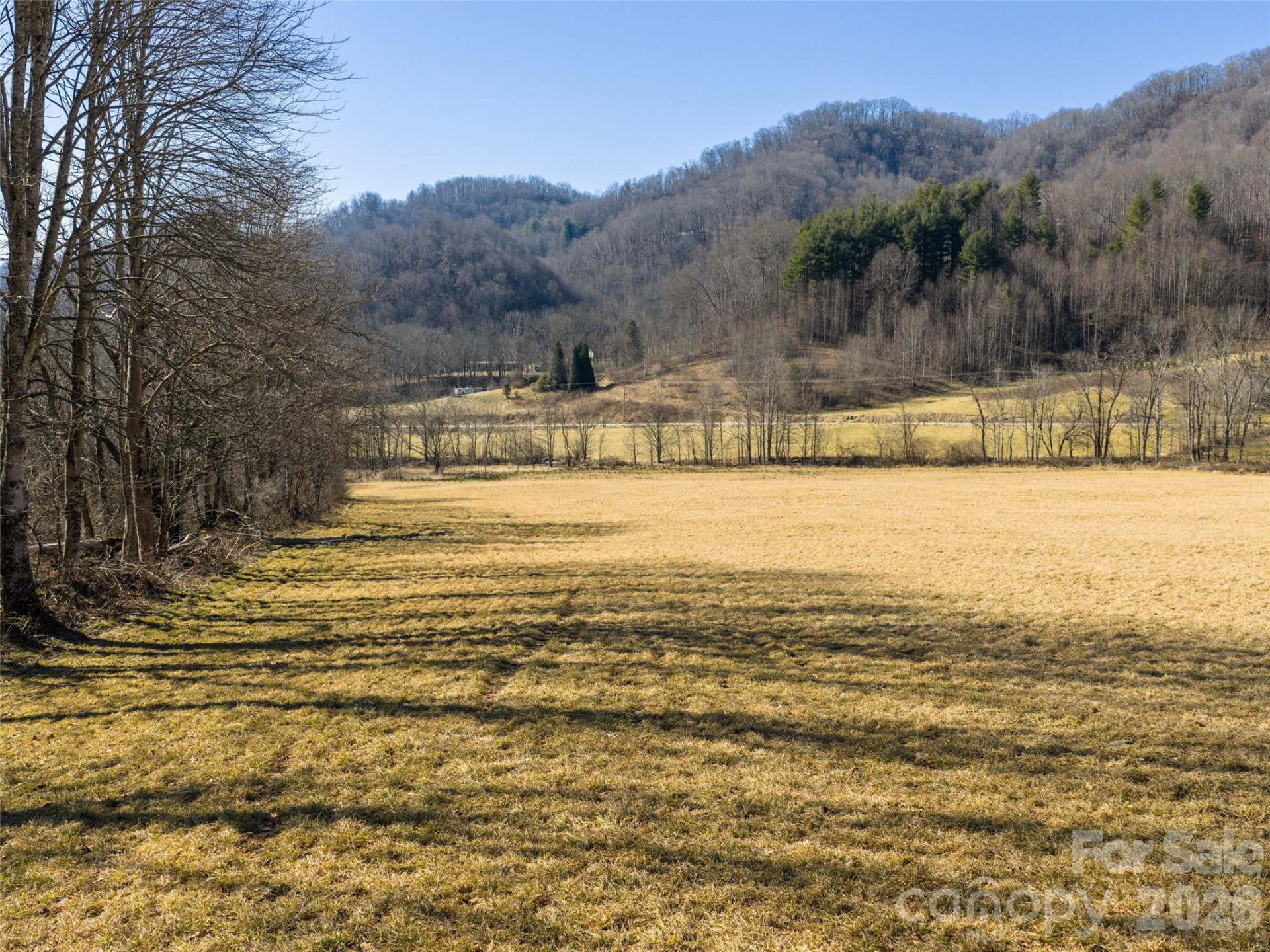 00 Sallys Branch Road - Photo 3