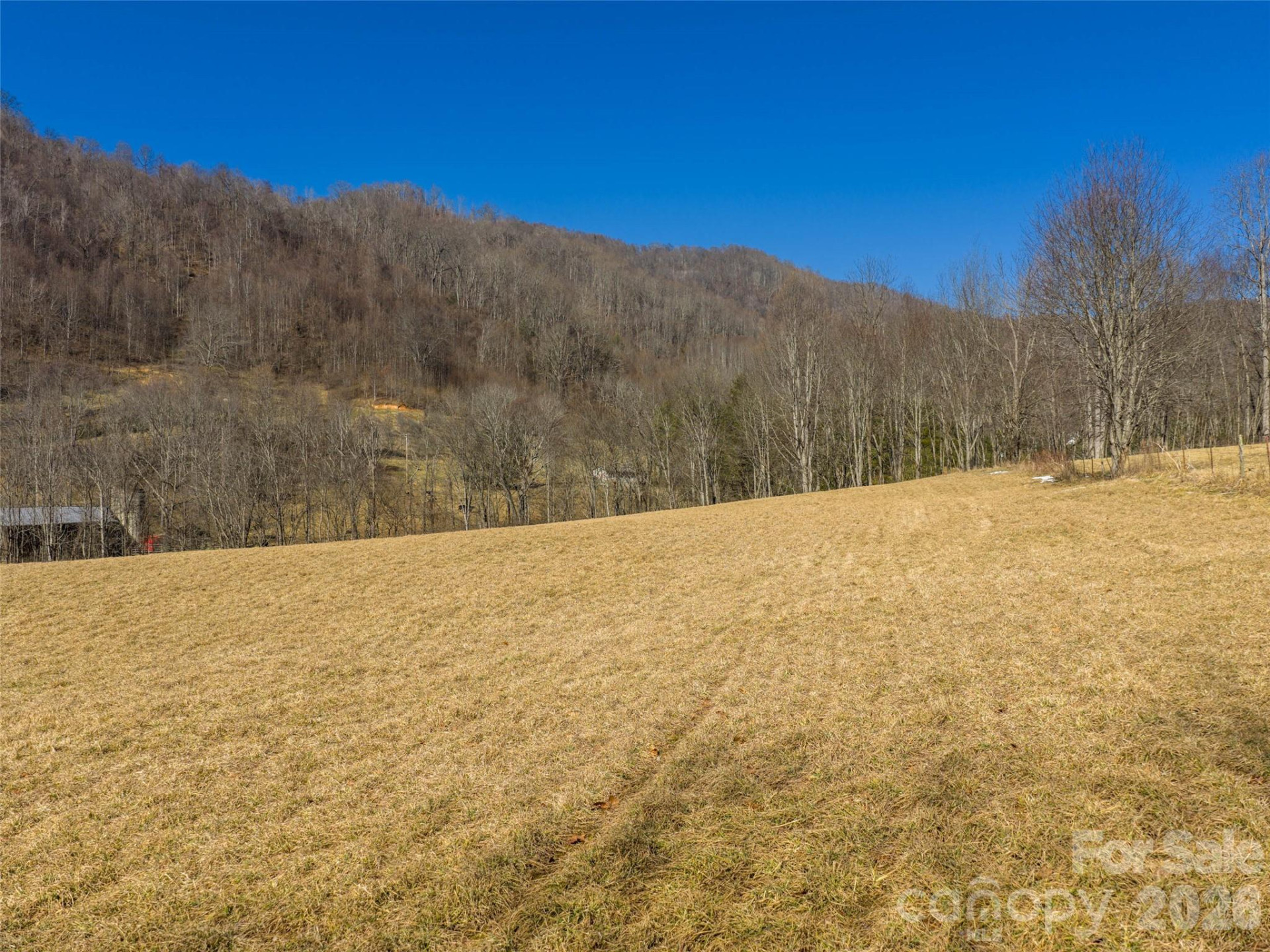 00 Sallys Branch Road - Photo 4