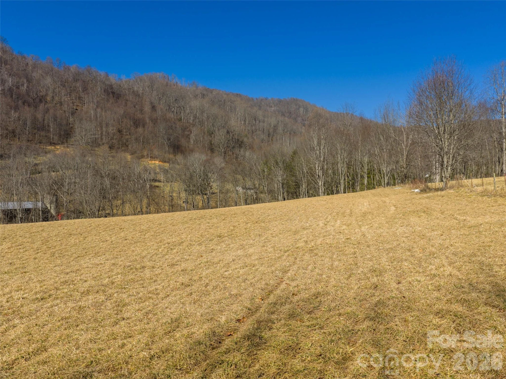 00 Sallys Branch Road - Photo 4
