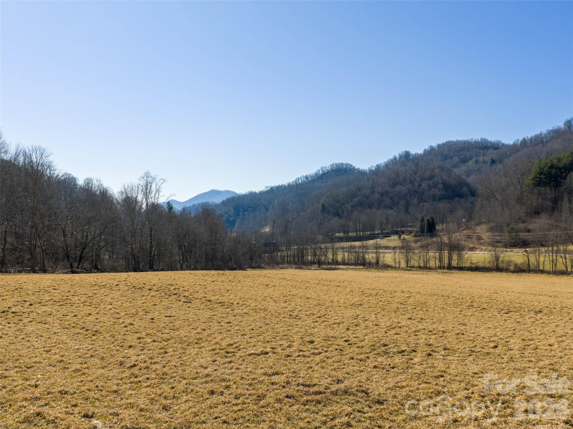 00 Sallys Branch Road - Photo 5