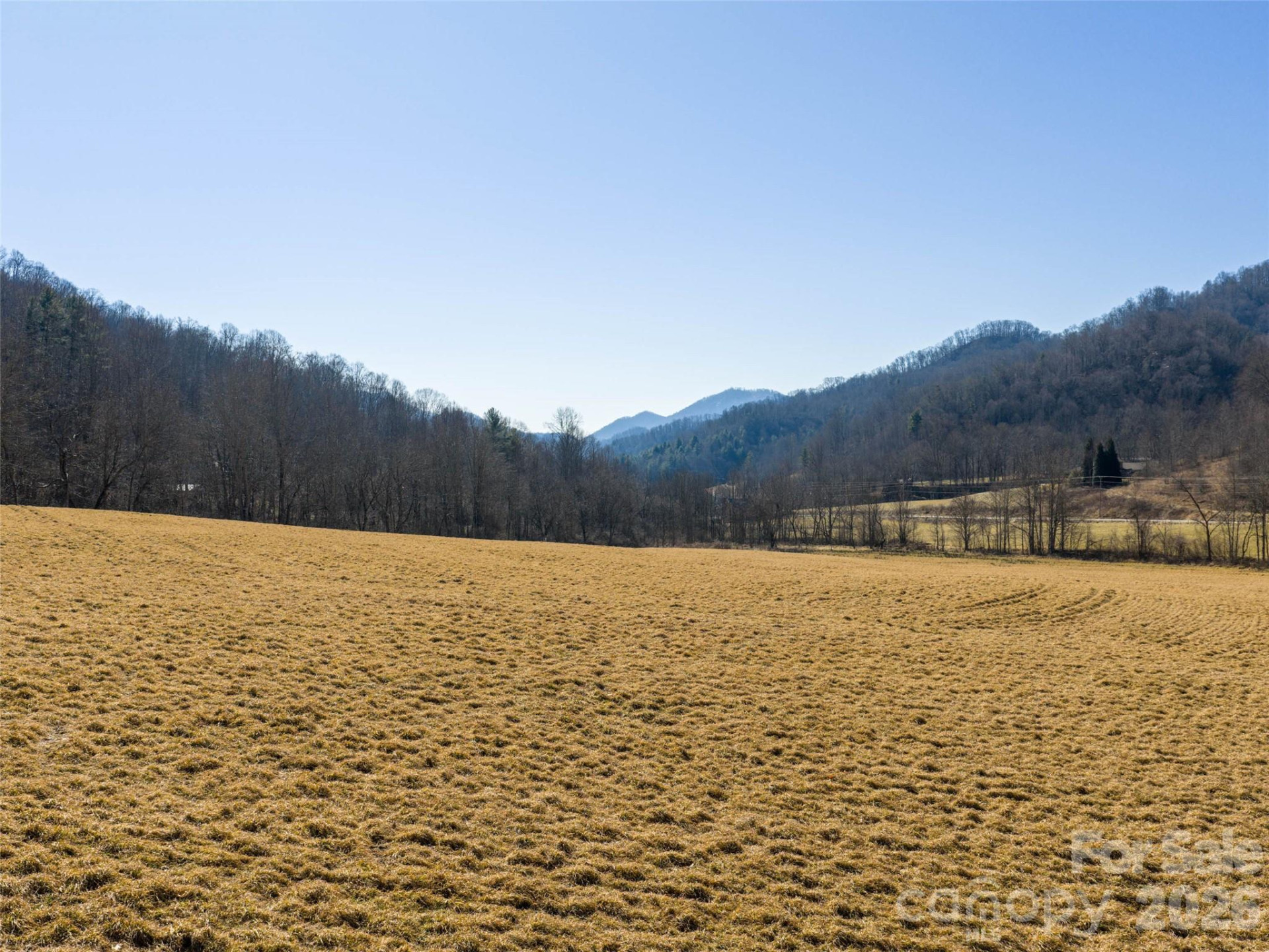 00 Sallys Branch Road - Photo 6