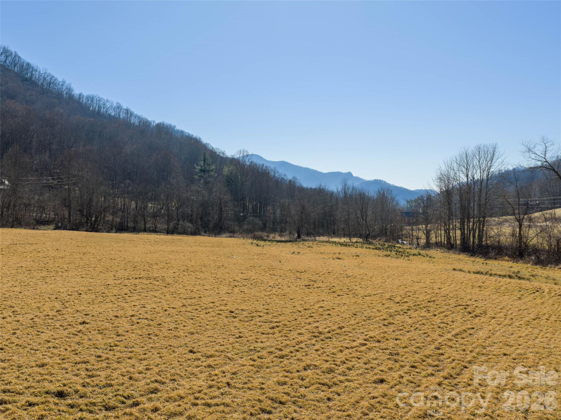 00 Sallys Branch Road - Photo 8