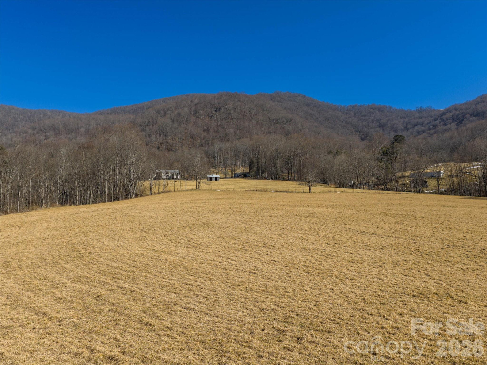 00 Sallys Branch Road - Photo 9