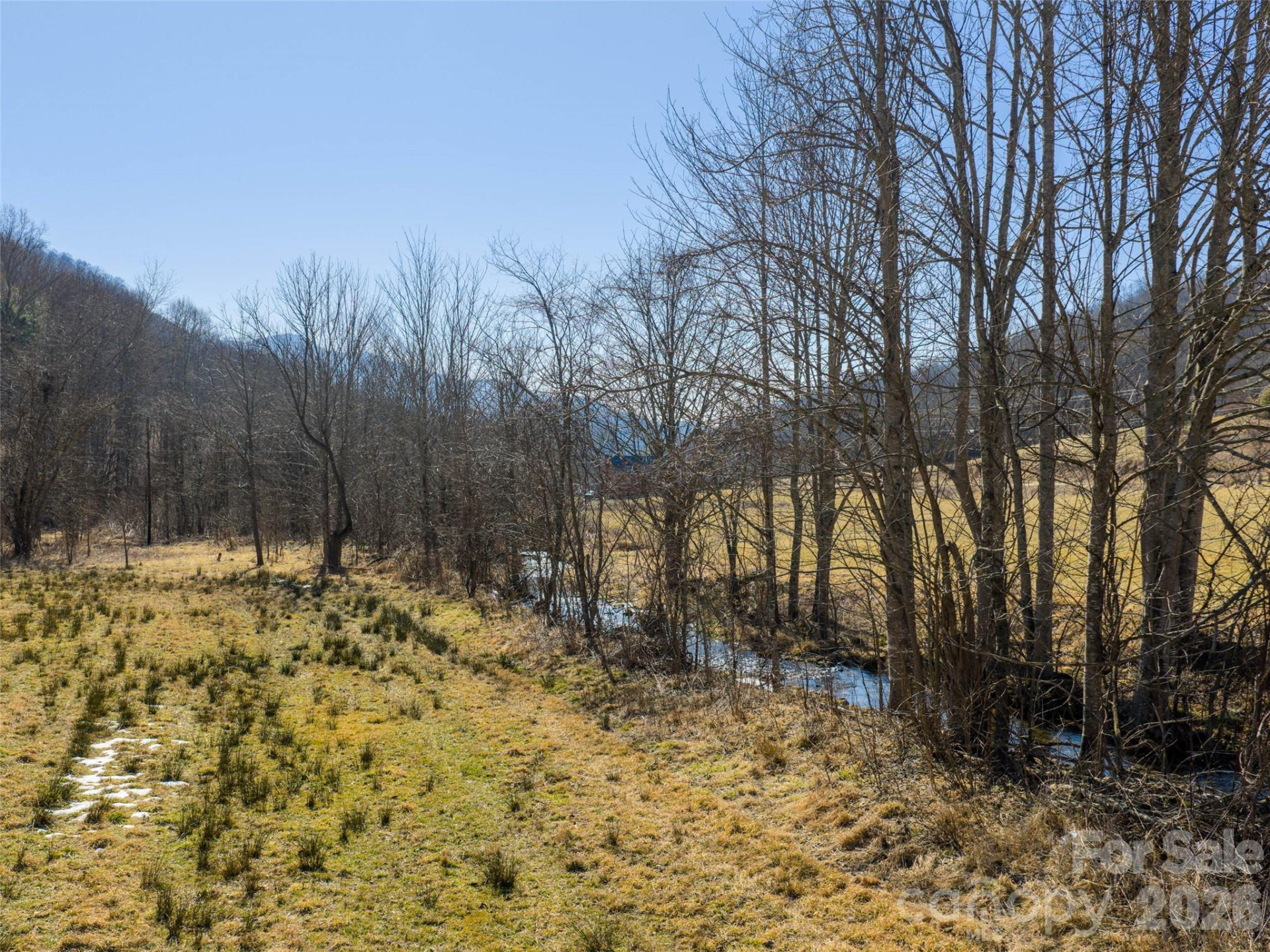 00 Sallys Branch Road - Photo 10