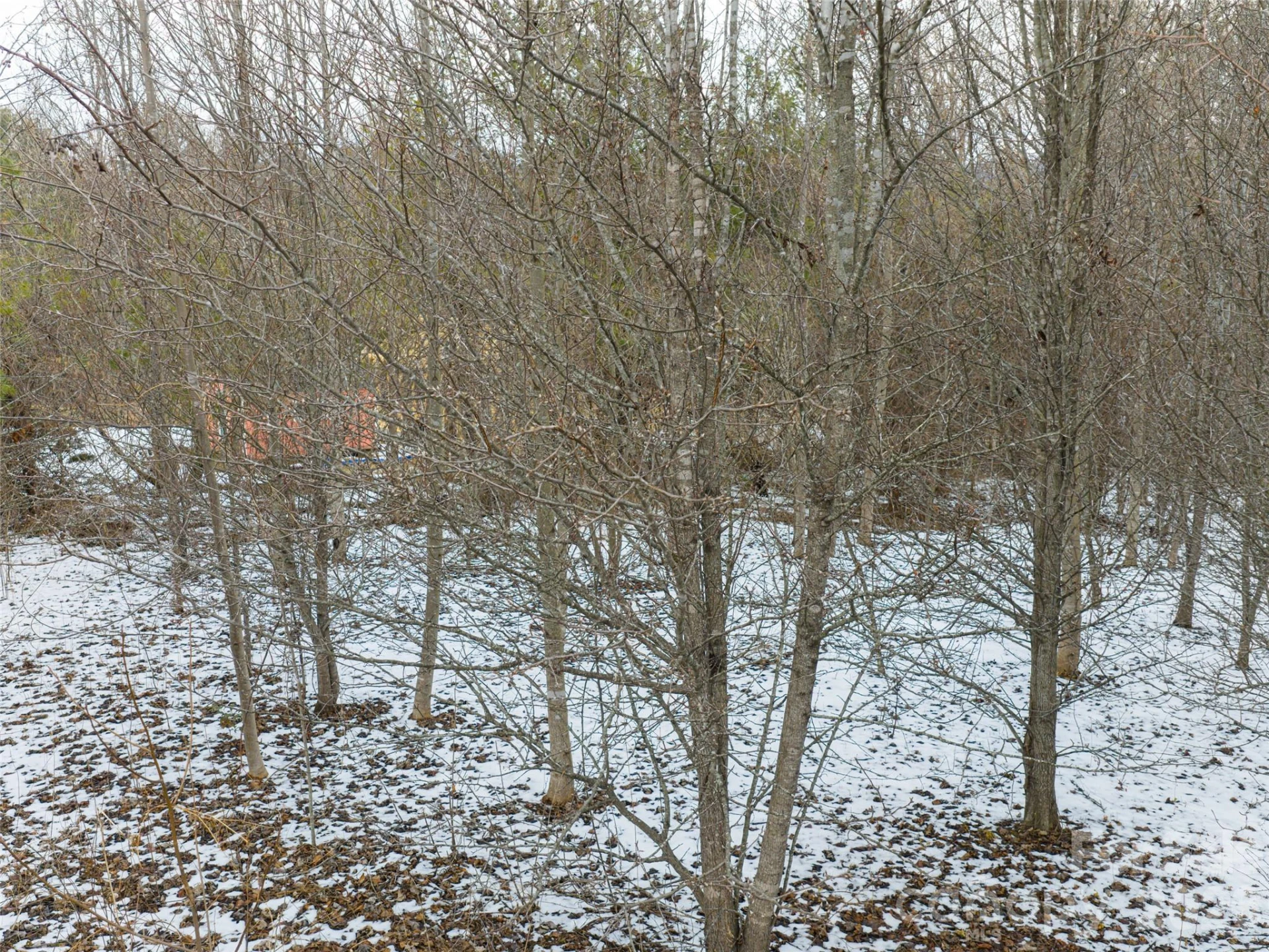 363 Bethany Church Road - Photo 16