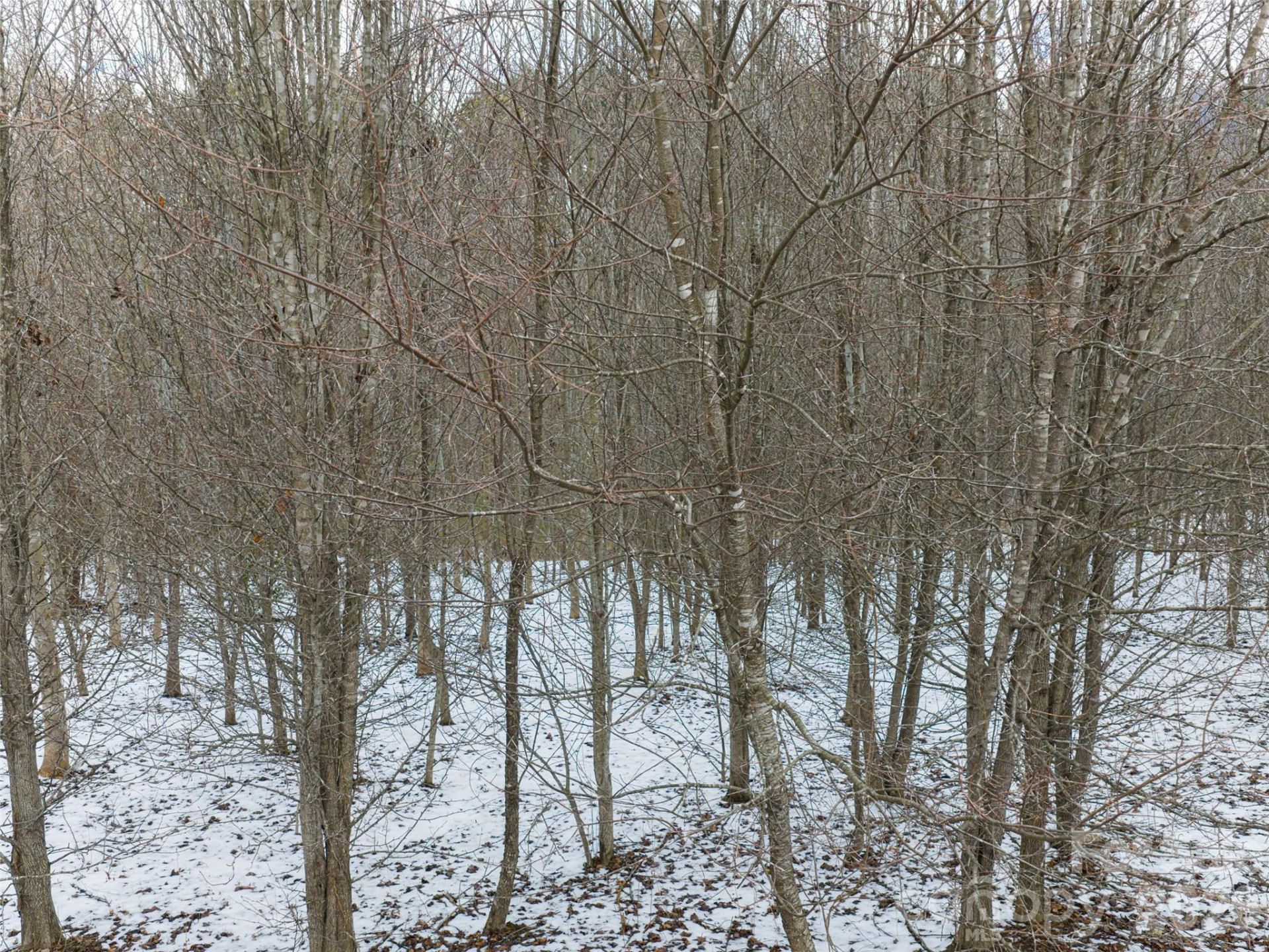 363 Bethany Church Road - Photo 17