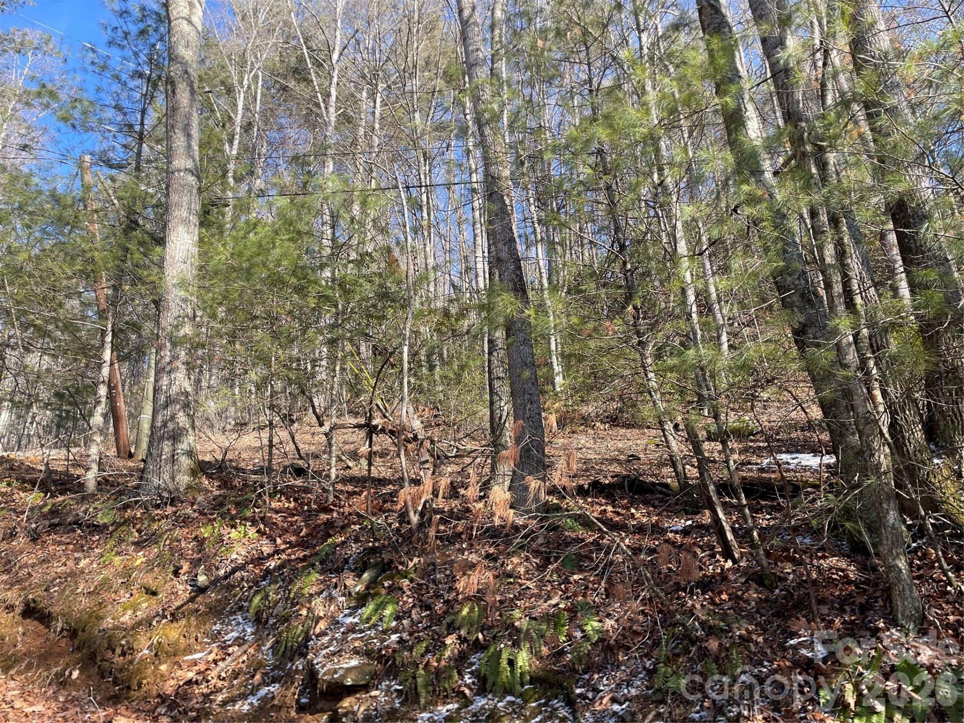 639 Conley Ridge Road - Photo 3