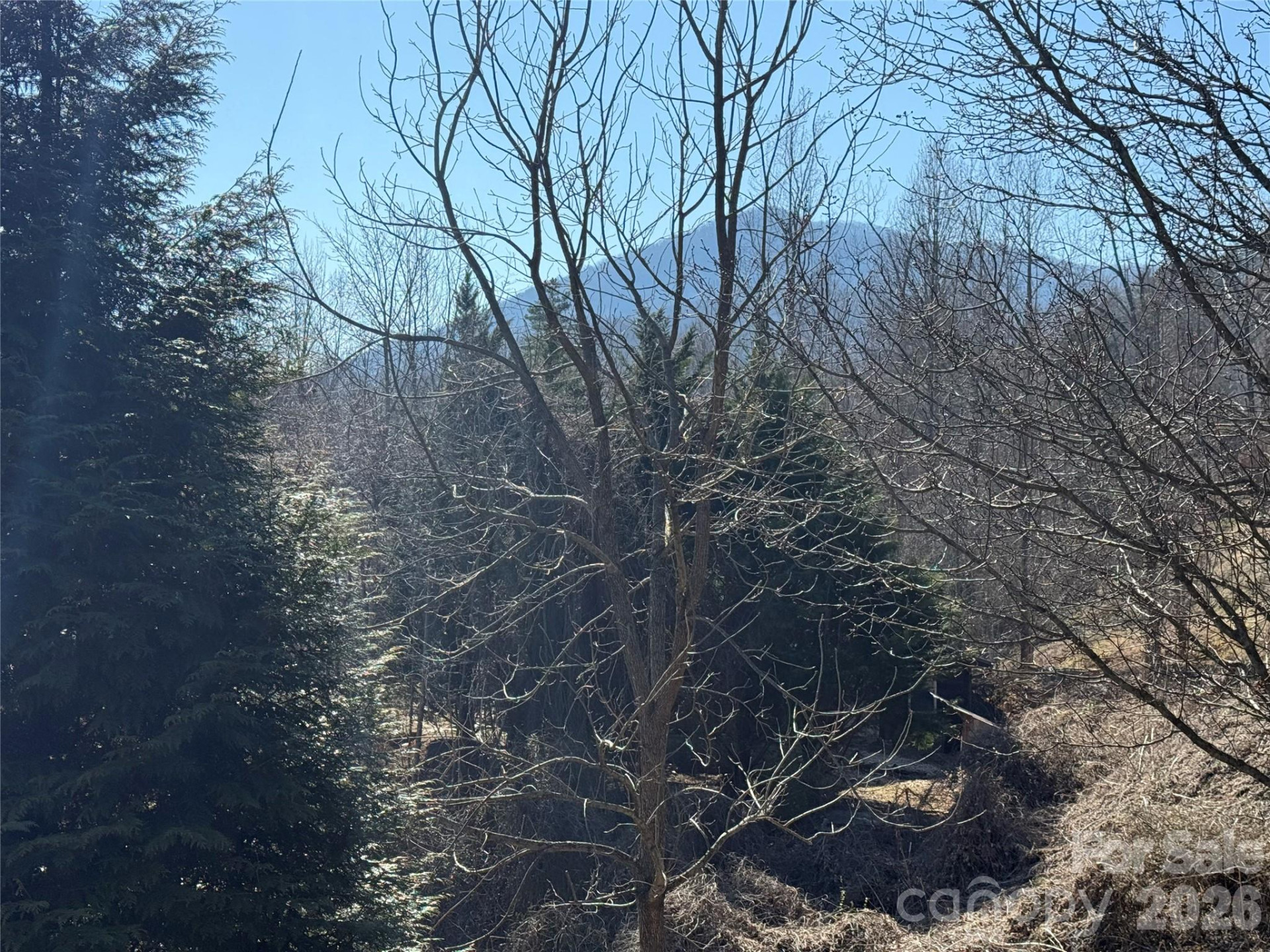 52 Supooh Lane - Photo 16