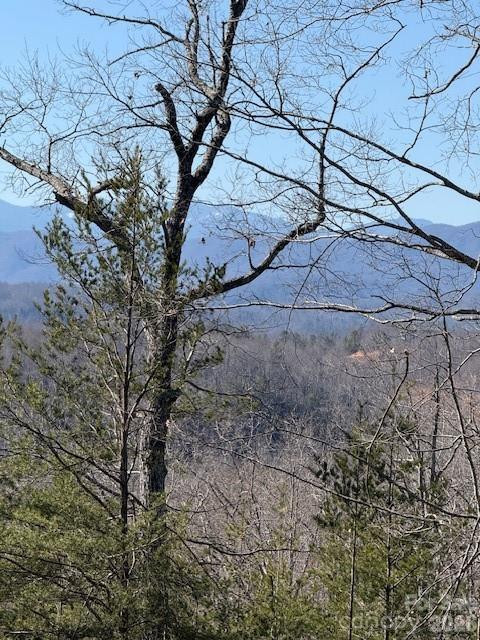 000 Dobson Knob Loop Road