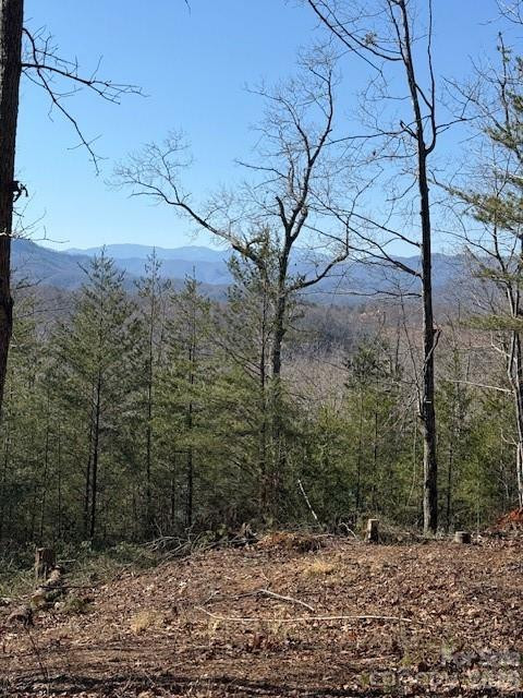 000 Dobson Knob Loop Road - Photo 2