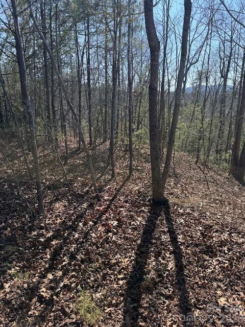 000 Dobson Knob Loop Road - Photo 3