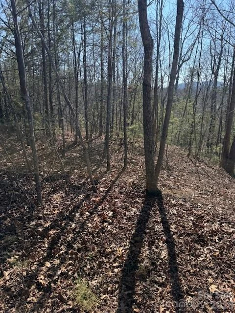 000 Dobson Knob Loop Road - Photo 3