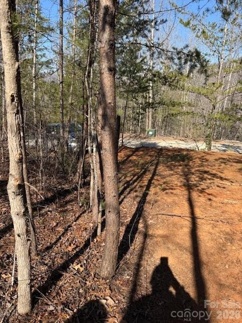 000 Dobson Knob Loop Road - Photo 4