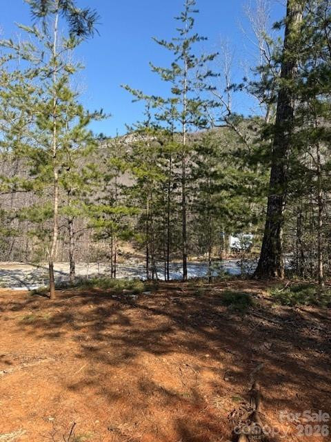 000 Dobson Knob Loop Road - Photo 5