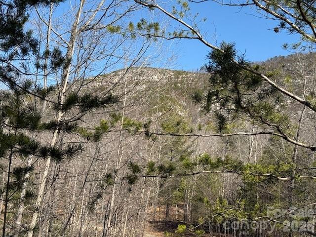 000 Dobson Knob Loop Road - Photo 6