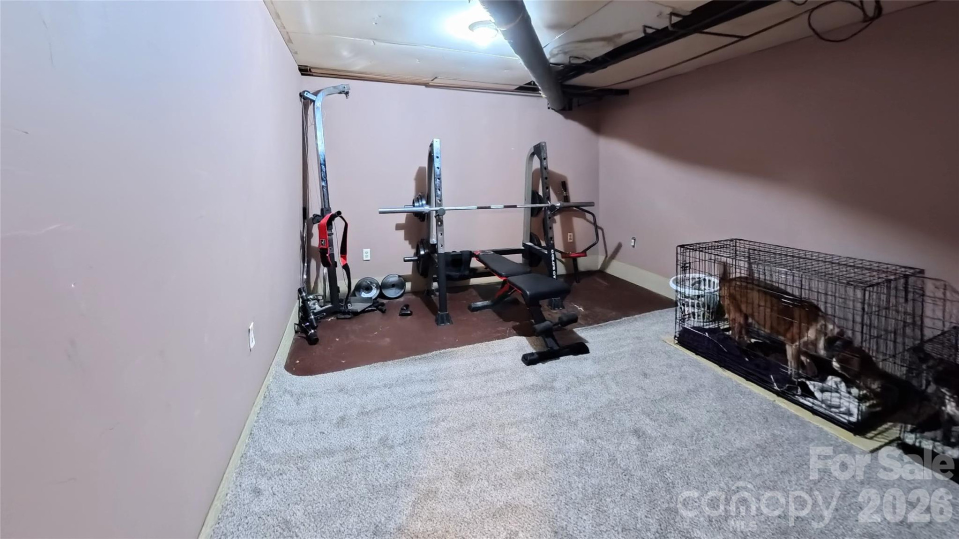 220 Miller Street - Photo 22