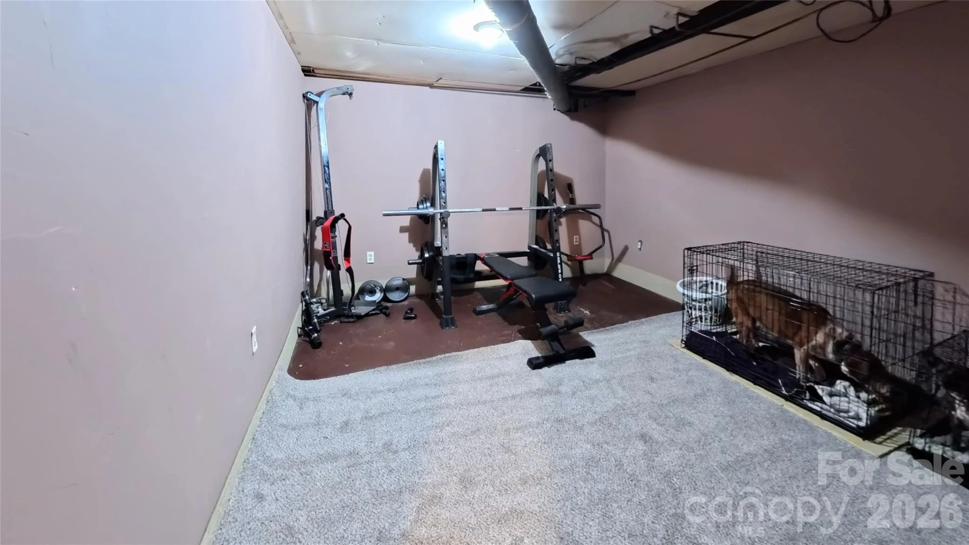 220 Miller Street - Photo 22
