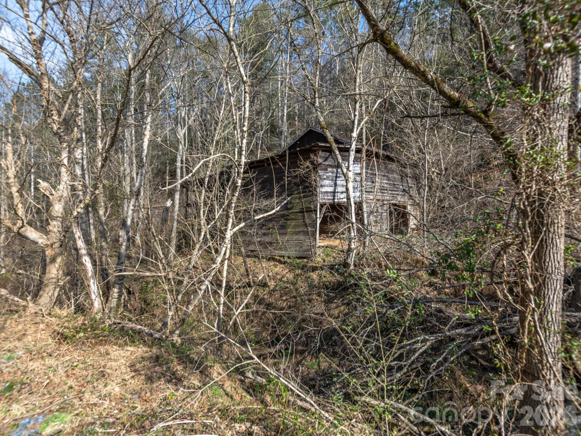 99999 Baileys Branch Road - Photo 3