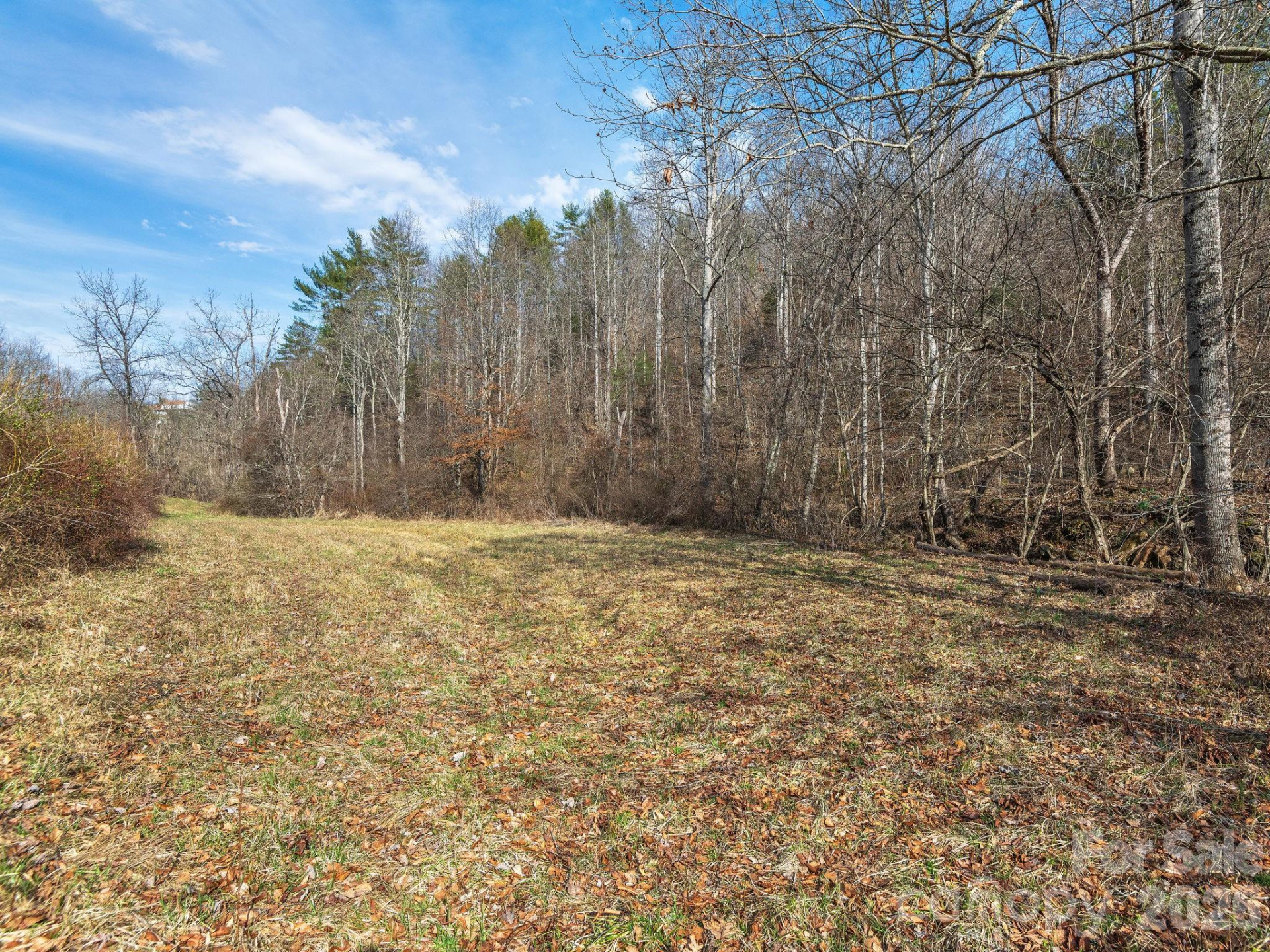 99999 Baileys Branch Road - Photo 4